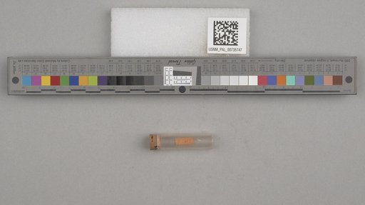 NSF ADBC EPICC TCN