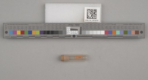 NSF ADBC EPICC TCN