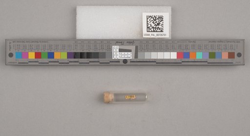 NSF ADBC EPICC TCN