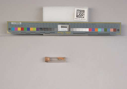 NSF ADBC EPICC TCN