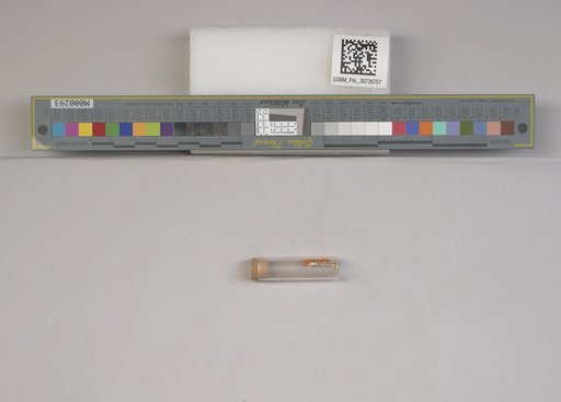 NSF ADBC EPICC TCN
