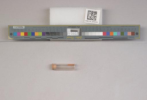 NSF ADBC EPICC TCN