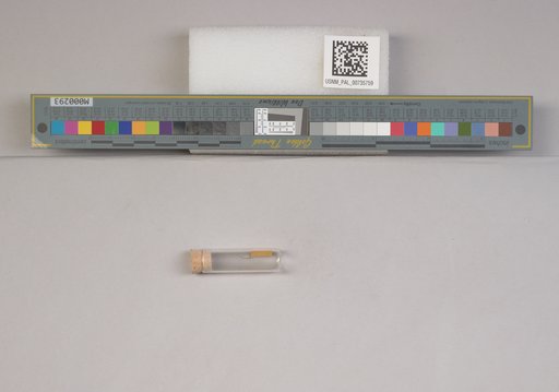NSF ADBC EPICC TCN