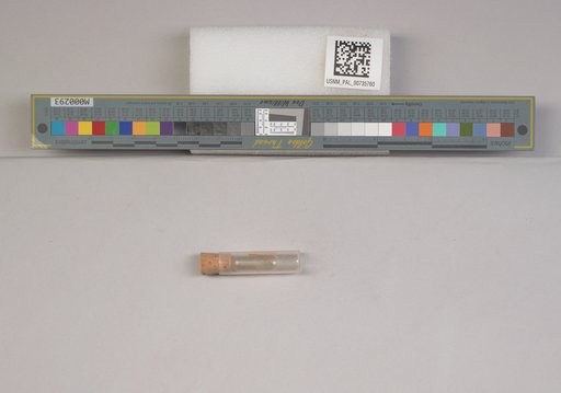 NSF ADBC EPICC TCN