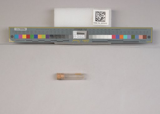 NSF ADBC EPICC TCN