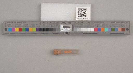 NSF ADBC EPICC TCN