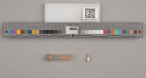 NSF ADBC EPICC TCN