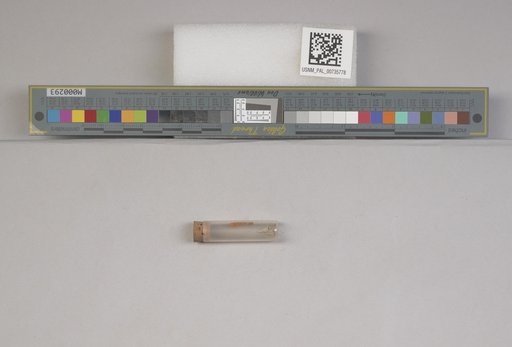 NSF ADBC EPICC TCN