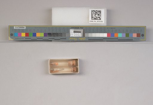 NSF ADBC EPICC TCN