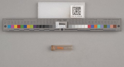 NSF ADBC EPICC TCN