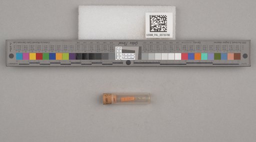 NSF ADBC EPICC TCN
