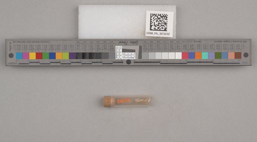 NSF ADBC EPICC TCN