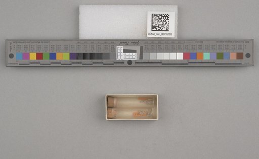 NSF ADBC EPICC TCN