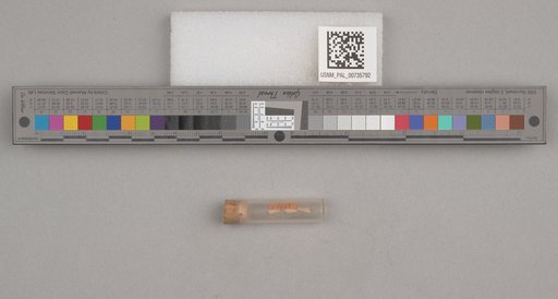 NSF ADBC EPICC TCN
