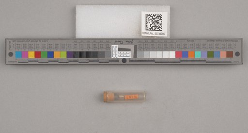 NSF ADBC EPICC TCN