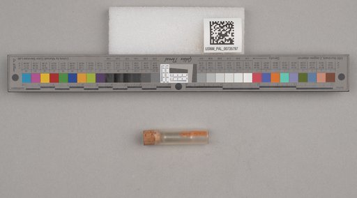 NSF ADBC EPICC TCN