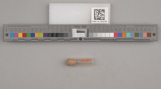 NSF ADBC EPICC TCN