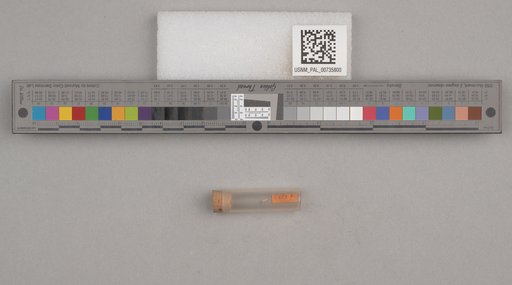 NSF ADBC EPICC TCN