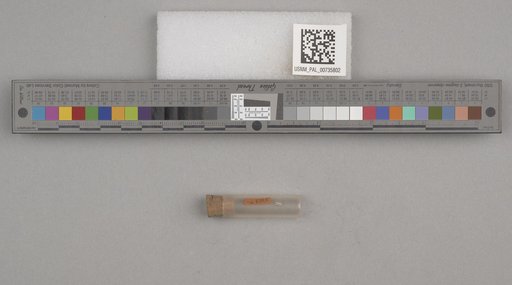NSF ADBC EPICC TCN