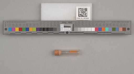 NSF ADBC EPICC TCN