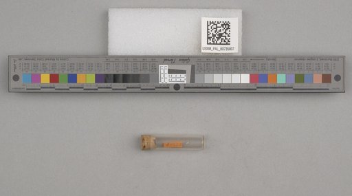 NSF ADBC EPICC TCN