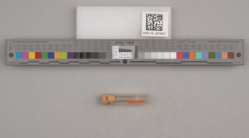 NSF ADBC EPICC TCN