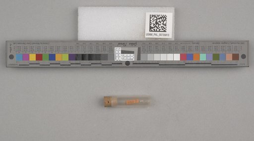 NSF ADBC EPICC TCN