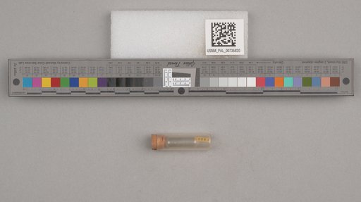 NSF ADBC EPICC TCN