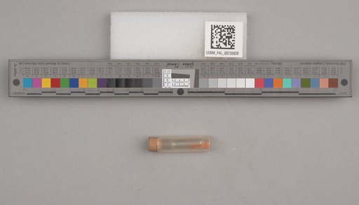 NSF ADBC EPICC TCN