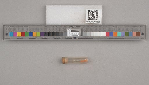 NSF ADBC EPICC TCN