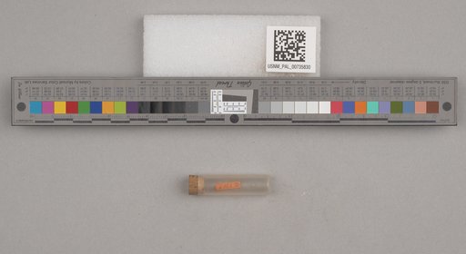 NSF ADBC EPICC TCN