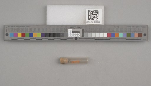 NSF ADBC EPICC TCN