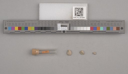 NSF ADBC EPICC TCN