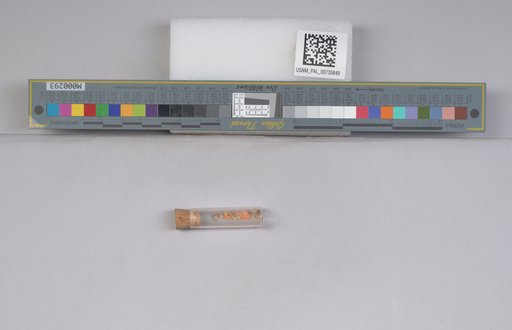 NSF ADBC EPICC TCN