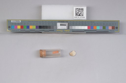NSF ADBC EPICC TCN