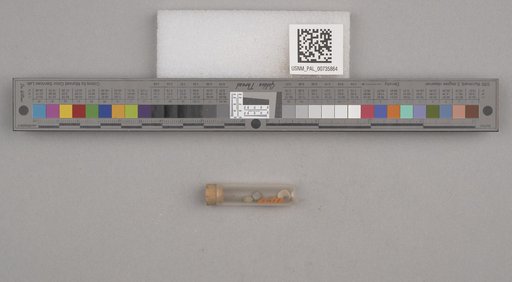NSF ADBC EPICC TCN