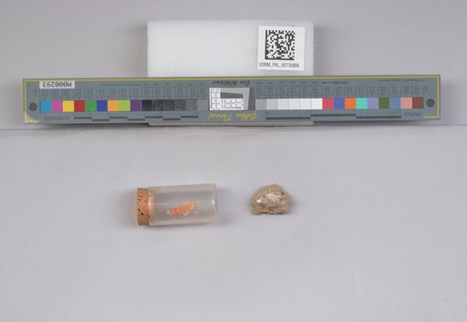 NSF ADBC EPICC TCN