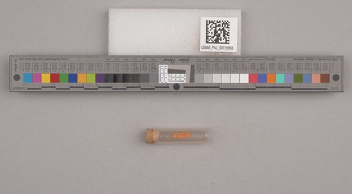 NSF ADBC EPICC TCN