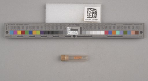 NSF ADBC EPICC TCN