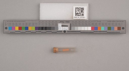 NSF ADBC EPICC TCN