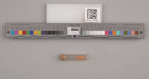 NSF ADBC EPICC TCN