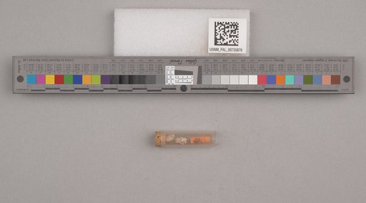 NSF ADBC EPICC TCN