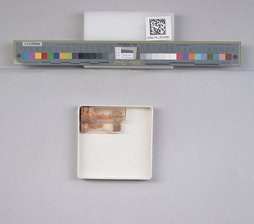 NSF ADBC EPICC TCN