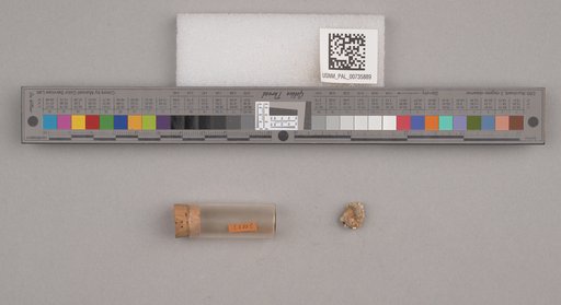 NSF ADBC EPICC TCN