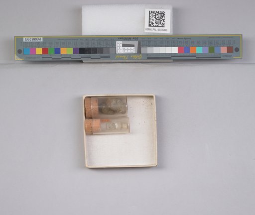 NSF ADBC EPICC TCN