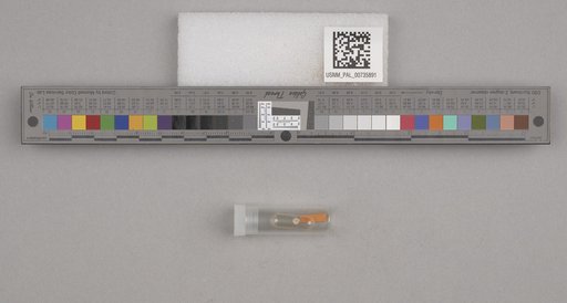 NSF ADBC EPICC TCN