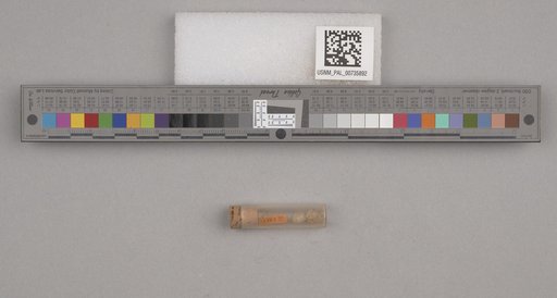 NSF ADBC EPICC TCN