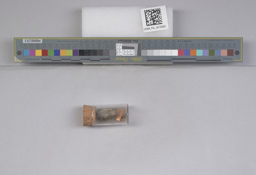 NSF ADBC EPICC TCN