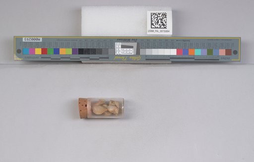 NSF ADBC EPICC TCN
