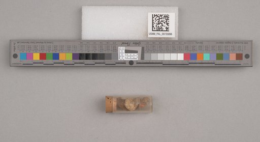 NSF ADBC EPICC TCN